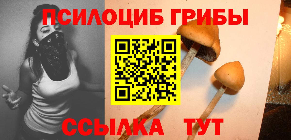 Строитель  купить наркотик  Вход с VPN  Галлюциногенные грибы GOLDEN TEACHER 